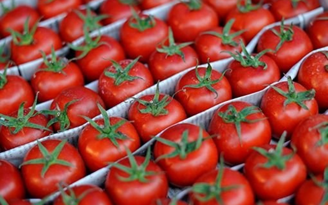 L'endroit idéal pour conserver les tomates afin qu'elles ne s'abîment pas