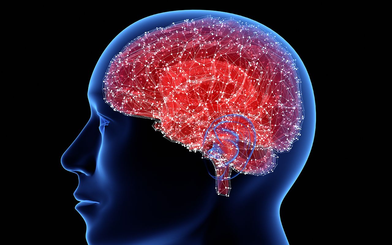 Le secret de la timidité réside-t-il dans le cerveau ? La science a découvert le « code caché » de la timidité sociale.