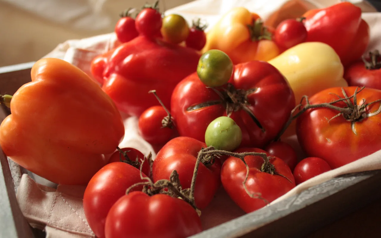 L'endroit idéal pour conserver les tomates afin qu'elles ne s'abîment pas