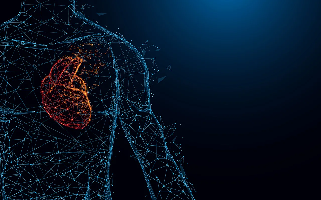 Bloc cardiaque : 7 conseils approuvés par les cardiologues pour maintenir la propreté des artères et une circulation sanguine plus fluide