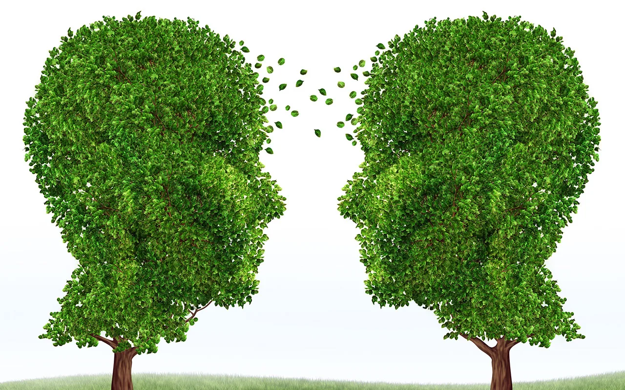 Un test de personnalité étonnant : choisissez un arbre sur l'image et vous découvrirez qui vous êtes vraiment.