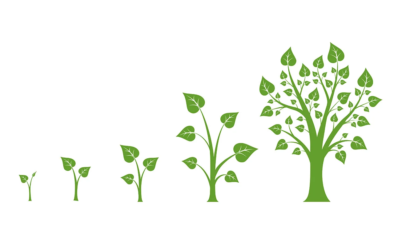 Un test de personnalité étonnant : choisissez un arbre sur l'image et vous découvrirez qui vous êtes vraiment.