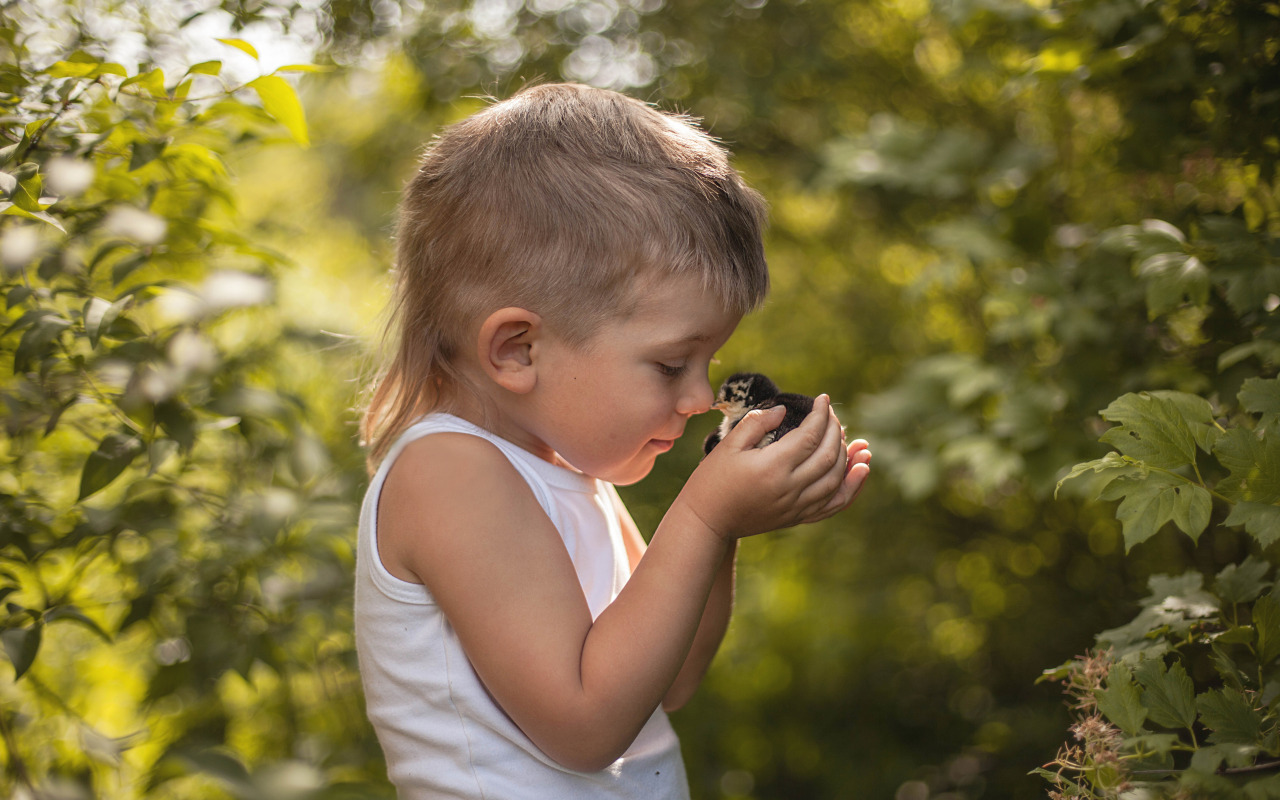 La France s'adresse aux parents qui ont décidé d'élever leurs enfants dans la forêt : « Qu'est-ce que c'est que cette histoire d'ansculing ? »