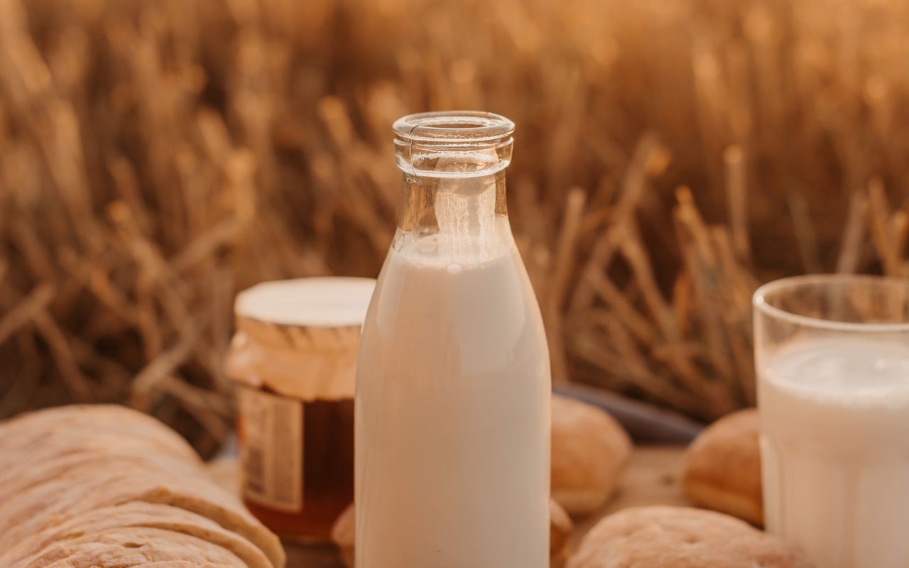 Quel pays est considéré comme la capitale mondiale du lait ?