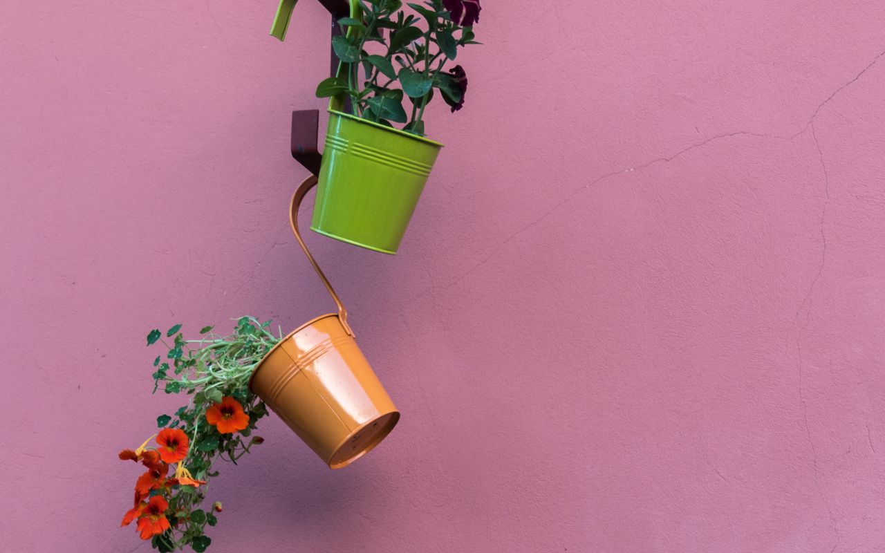 Les jardiniers qui suivent ces trois conseils protègent leurs pots du froid sans aucun équipement ni frais supplémentaires.