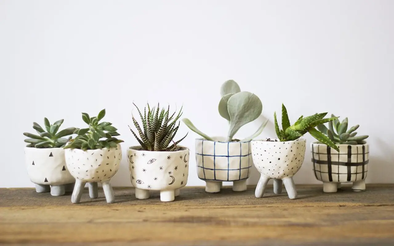 Les jardiniers qui suivent ces trois conseils protègent leurs pots du froid sans aucun équipement ni frais supplémentaires.