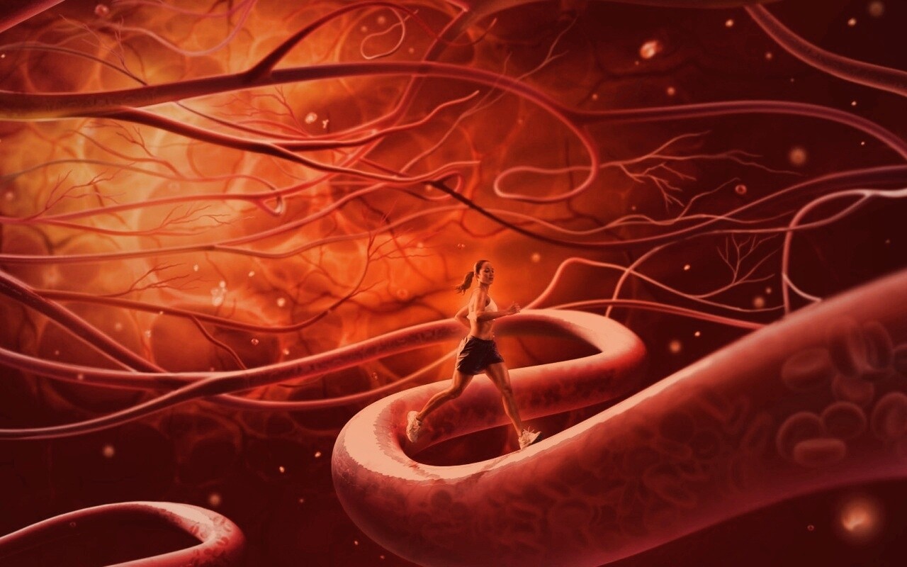 Bloc cardiaque : 7 conseils approuvés par les cardiologues pour maintenir la propreté des artères et une circulation sanguine plus fluide