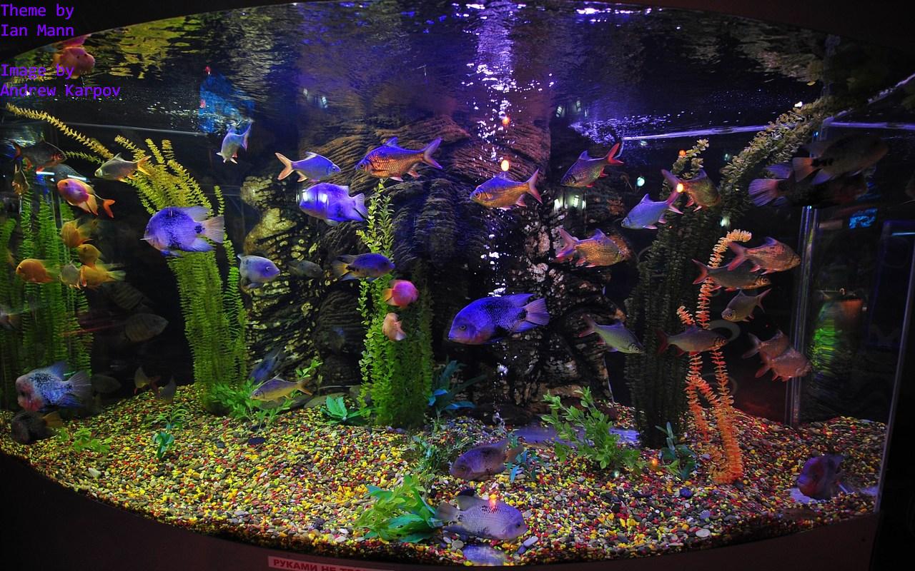 Expulsé après avoir accumulé 22 000 euros d'arriérés de loyer, le locataire laisse un aquarium géant et une facture aux propriétaires.